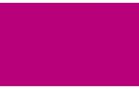 Fuchsia Fuchsia