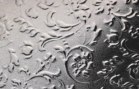 Флораль (серебро) Флораль (серебро)